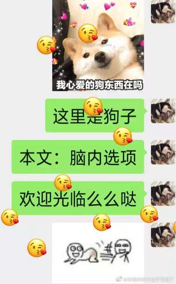 脑内选项正在全力妨碍我的海王之路