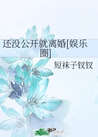 还没公开就离婚(娱乐圈) 小说