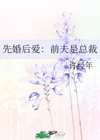 先婚后爱:前夫是总裁 小说