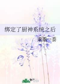 我绑定了厨神系统免费阅读