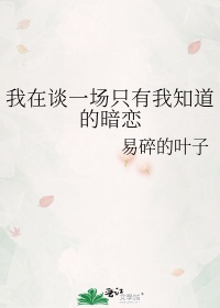 我在谈一场只有我知道的暗恋歌词