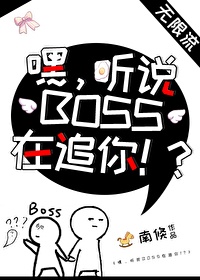 嘿听说boss在追你免费阅读