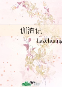 训渣记by hazehuang txt