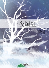 一夜爆红漫画在线观看