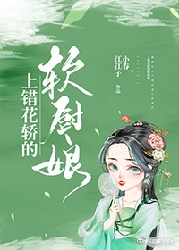 上错花轿的软厨娘