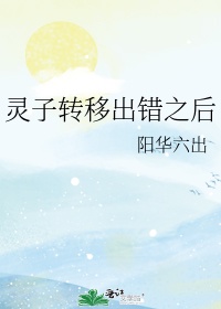 灵子转移出错之后 小说