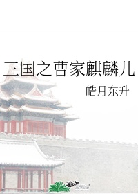 三国之曹家逆子全文免费阅读最新