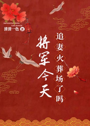 将军今天追妻火葬场了吗 清清一色