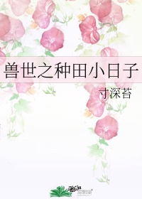 穿越种田之小日子 小说