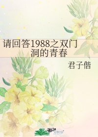 请回答1988双门洞平面图