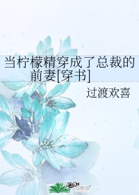 (穿书)当柠檬精穿成了总裁的前妻结尾