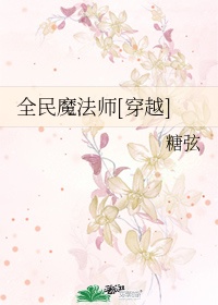 穿越魔法师小说