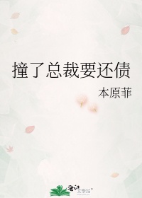 撞了总裁要还债怎么办