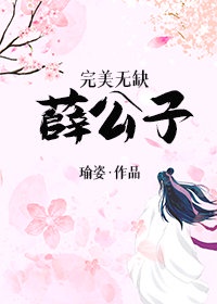 完美无缺薛公子作者:瑜姿