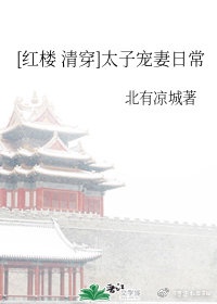 红楼之重过礽生txt