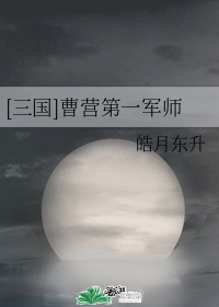 曹营第一军师小说