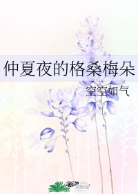 仲夏夜的格桑梅朵txt网盘