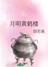 黄鹤楼酒怎么样