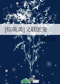 团宠小王子[综英美