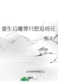 重生后魔尊只想追师兄