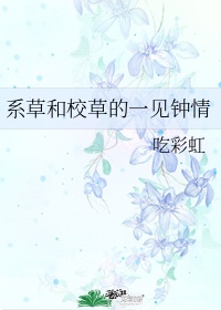 系草和校草的一见钟情 by吃彩虹txt