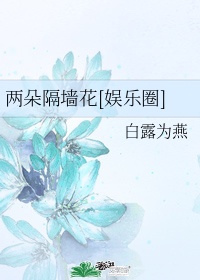 两朵隔墙花[娱乐圈]