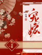 苏瑜宣祈txt下载