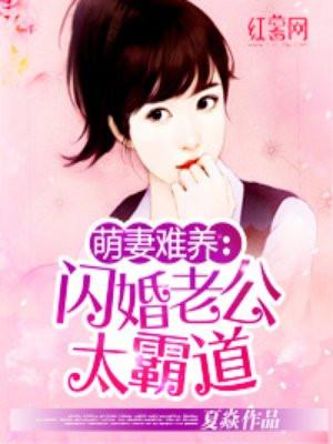 萌妻难养：闪婚老公太霸道