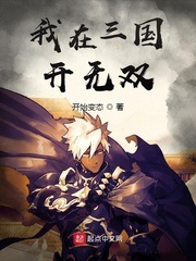 真三国无双无敌版