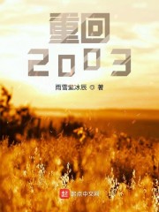 重回2003之巅峰人生电视剧