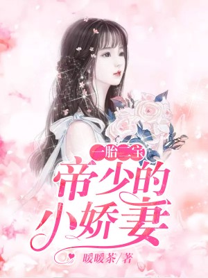 一婚两胎女主林羞