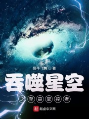 吞噬星空之至高掌控者免费阅读