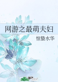 网游之最萌夫妇全文