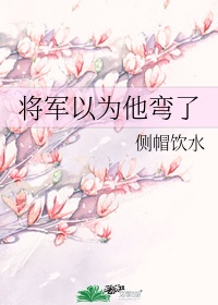 将军以为他弯了百度网盘