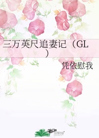 三万英尺追妻记（GL）