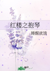 红楼之抱琴 panax