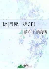 [综]目标，拆CP！