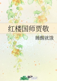 红楼国师贾敬 小说