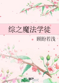 综之魔法学徒讲的什么