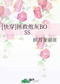 快穿拯救炮灰boss晋江